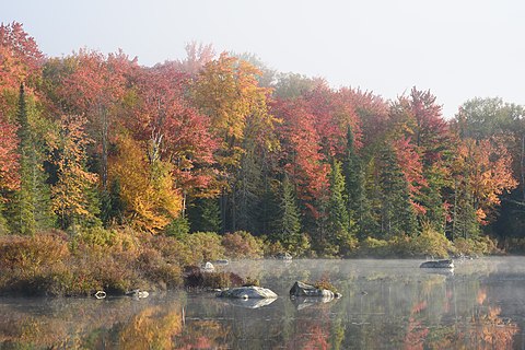 Marshfield Pond, Vermont