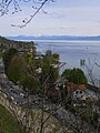 Blick auf den See nach Südosten, im Hintergrund die Alpen