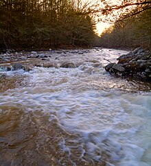 Mehoopany Creek in Forkston Township, Wyoming County, Pennsylvania