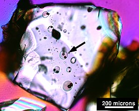 Multiple melt inclusions in olivine crystal Melt inclusions 2.jpg