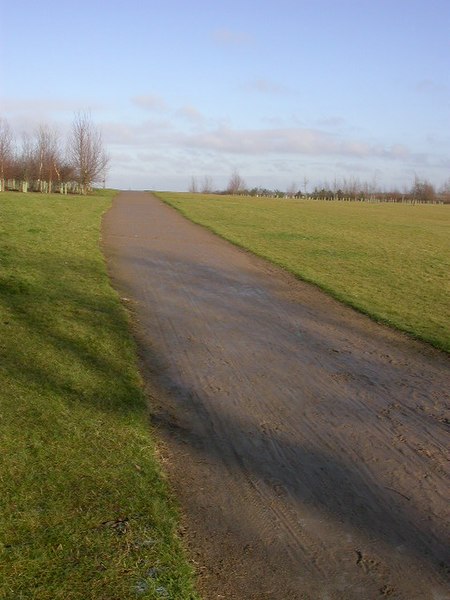 File:Minimalist View - geograph.org.uk - 115271.jpg