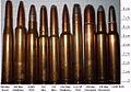 Munition de chasse : du 300 Mag au 7 x 65 R