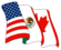 NAFTAs flagg