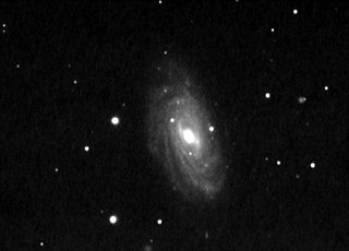 NGC 3953 barred spiral galaxy in the constellation of Ursa Major