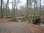 Naturschutzgebiet Mutzbach