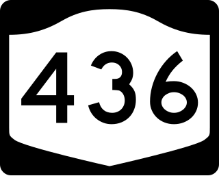 <span class="mw-page-title-main">New York State Route 436</span> State highway in western New York, US