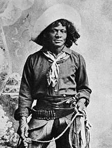 The Real Wild West': The Dark, Bloody History of How the West Was Won