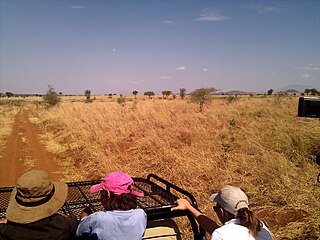 <span class="mw-page-title-main">Kidepo Valley National Park</span> National park in Uganda