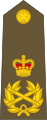 New Zealand-Army-OF-10.svg