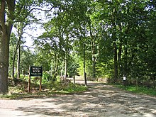 Norsey Wood, Billericay - geograph.org.inggris - 53925.jpg