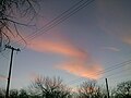 Orange cloud during sunset