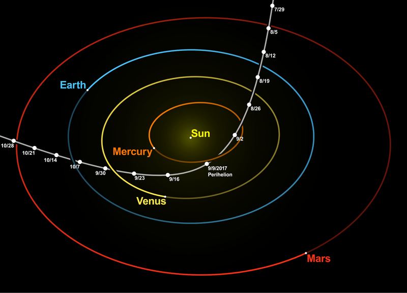 File:Oumuamua orbit at perihelion.png