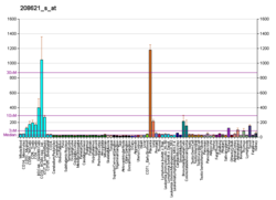 PBB GE VIL2 208621 s fs.png'de