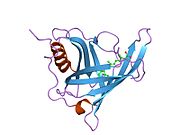 PDB 1fem EBI.jpg