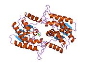 PDB 1fxw EBI.jpg