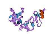 PDB 1u5s EBI.jpg