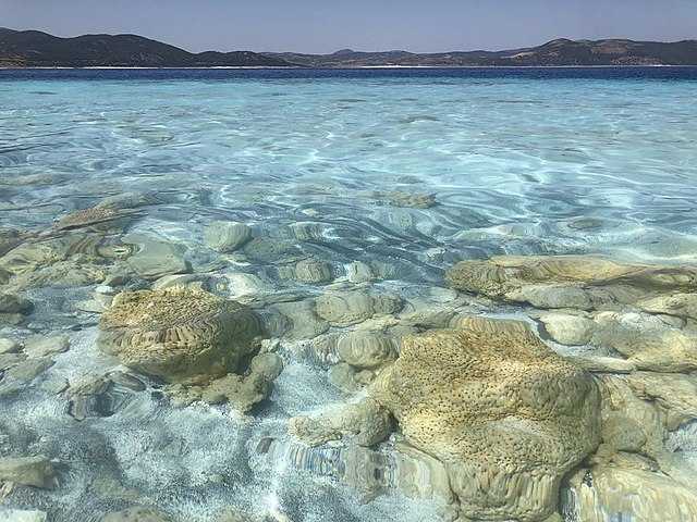 Stromatolite-like deposits. Microfabric details of the