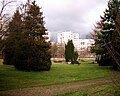 Friedhof Pankow VII - Urnengemeinschaftsanlage - vormals Bereich der Berliner Mauer