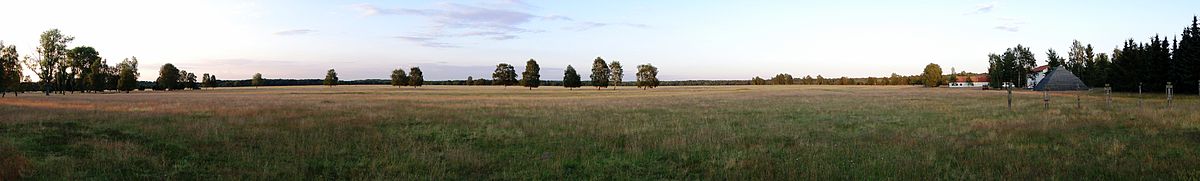 Reinsehlen Camp