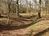 Blick vom Hohlweg nach Westen Richtung Verzweigung; 2021 entdeckt.