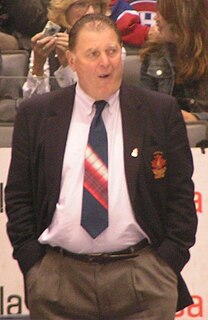 <span class="mw-page-title-main">Peter Mahovlich</span> Ice hockey player