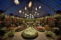 138 Phipps Conservatory winter 2015 Broderie Room uploaded by Dllu, nominated by Dllu