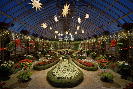 Phipps Conservatory's Broderie Room during the winter flower show of 2015
