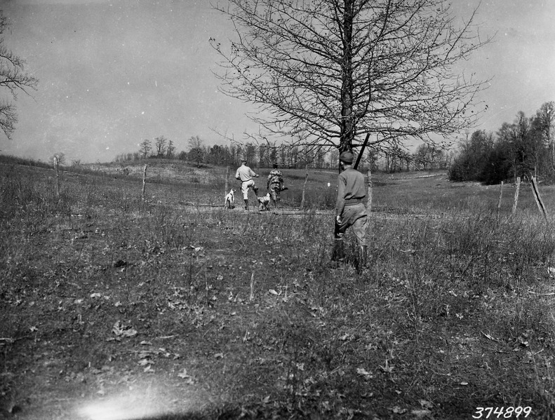 File:Photograph of Quail Hunters - NARA - 2128260.tif