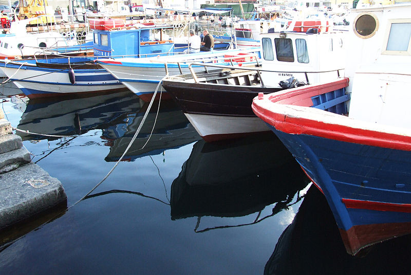 File:Porto Ulisse Ognina Catania Sicilia-Italy - Creative Commons by gnuckx (3670211475).jpg