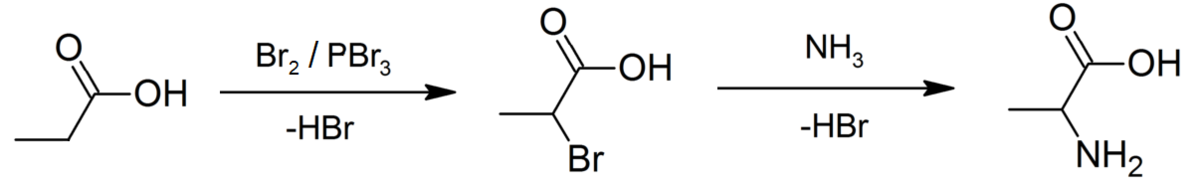 Preparation of alanine from propionic acid.png