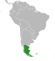 Range of Primula magellanica