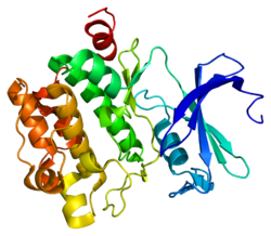 Белок PIM1 PDB 1xqz.png