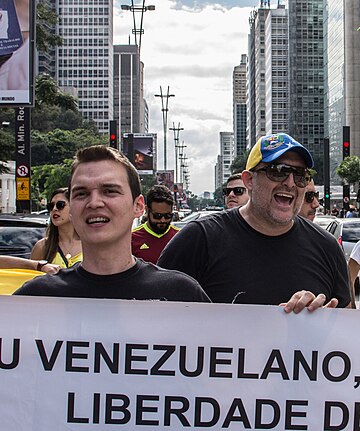 File:Protests opposing Venezuelan Bolivarian Revolution in São Paulo, Brazil 14.jpg