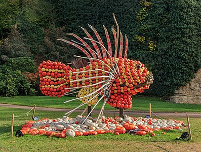 Lionfish Ludwigsburg