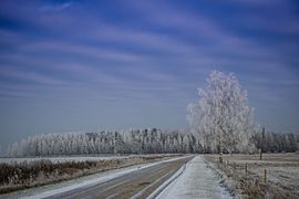 Räpina polder