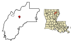 Richland Parish Louisiana Incorporated and Unincorporated areas Rayville Highlighted.svg