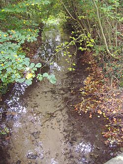 River Cong 15th October 2007 (1).JPG