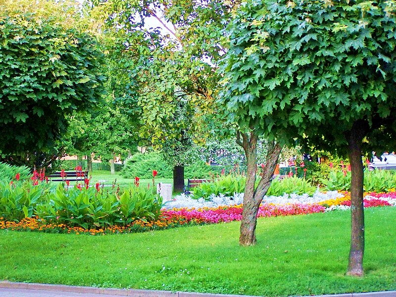 File:Ropczyce Park 2.JPG