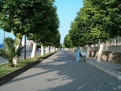 Road to the neighborhood of Tizirine