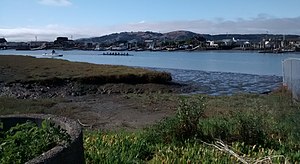 Rowers on Corte Madera Creek.jpg