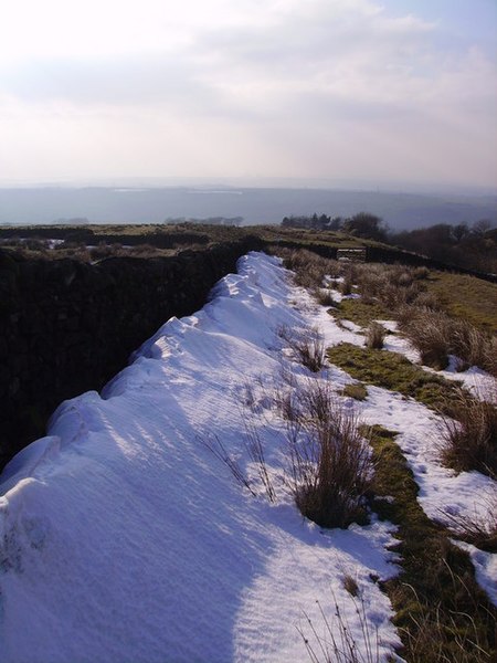 File:Rowton Fell - geograph.org.uk - 137106.jpg