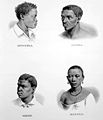 Escravos africanos de Benguela, Angola, Congo e Monjolo