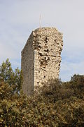 Turm der Burgruine