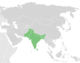 Imagen ilustrativa de la Federación de Fútbol de Asia Meridional de pie