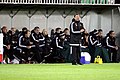 * Nomination: Supervisor and substitute of SK Rapid Wien. In the foreground head coach Zoran Barisic. --Steindy 13:02, 6 April 2022 (UTC) * * Review needed