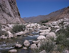 Arrollo próximo al camino de Kabul