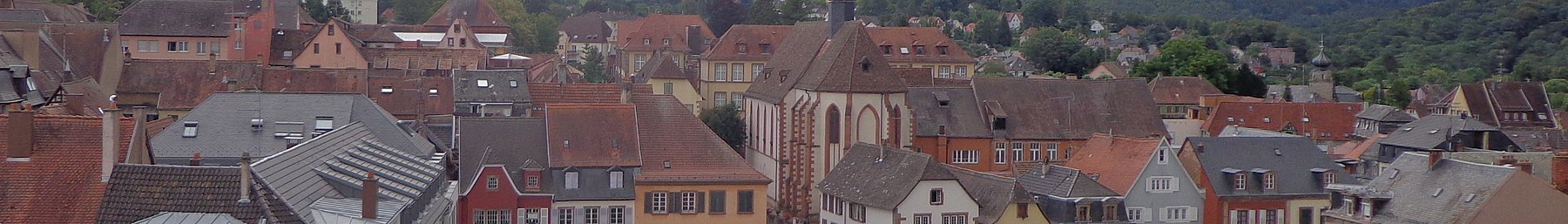 Saverne depuis le toit du château des Rohan 2014 (03) (cropped).JPG