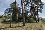 Kalksandkiefernwald bei Bickenbach, Pfungstadt und Seeheim-Jugenheim