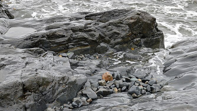 Shore at Mobile Bay