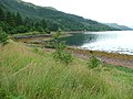 Shoreline on Loch Duich - geograph.org.uk - 212125.jpg
